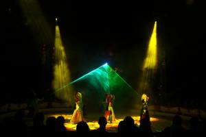 Cirque de Noël à Karlsruhe / Allemagne - Flashlight Showtec - 12