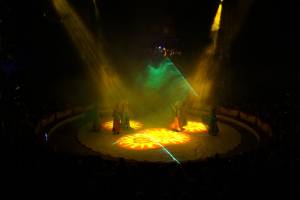 Circo de Navidad en Karlsruhe / Alemania - Flashlight Showtec - 14