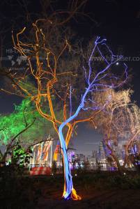 Multimedia Scenery @ Al Noor Island, Sharjah, UAE - 10